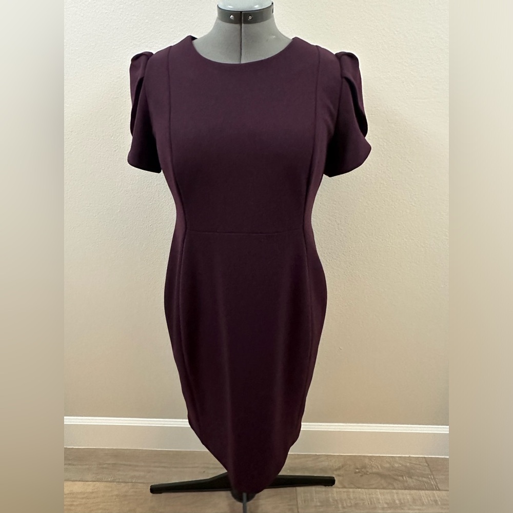 Calvin Klein Eggplant Sheath Dress